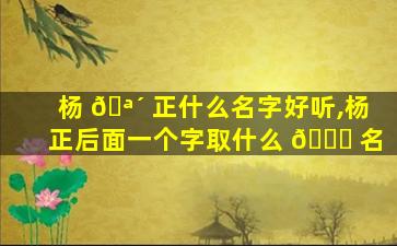 杨 🪴 正什么名字好听,杨正后面一个字取什么 🐕 名